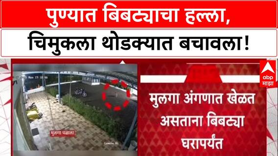 Leopard Attack: पुणे हादरलं! अंगणात खेळणाऱ्या चिमुकल्यावर बिबट्याचा हल्ला, थरार CCTV मध्ये कैद