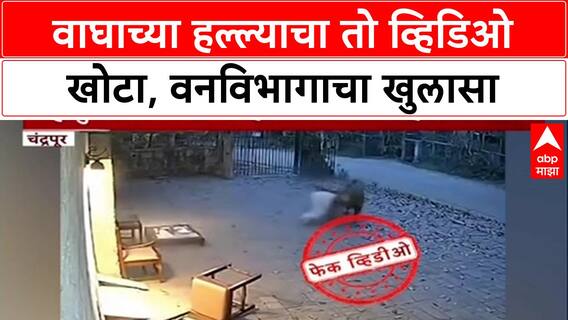 Fake News: चंद्रपूरमधील वाघ हल्ल्याचा Video खोटा, AI ने बनवल्याचा दावा, गुन्हा दाखल होणार