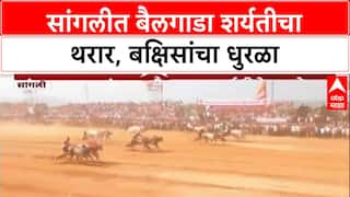 Bullock Cart Race: चंद्रहार पाटलांकडून सांगलीत बक्षिसांचा वर्षाव, 2 Fortuner, 2 Thar, 7 ट्रॅक्टर बक्षीस