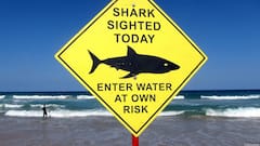 Man Dies After Shark Attack While Fishing With Family In Western Australia