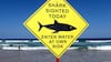 Man Dies After Shark Attack While Fishing With Family In Western Australia