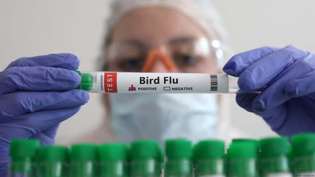 Australia Confirms First Case Of H5 Bird Flu, PM Albanese Says Detection Concerning