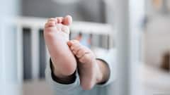 Historic Slump: Germany’s Birth Rate Hits New Low In 2025