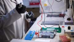 Argentina Expands Probe Into Source Of Hantavirus Outbreak