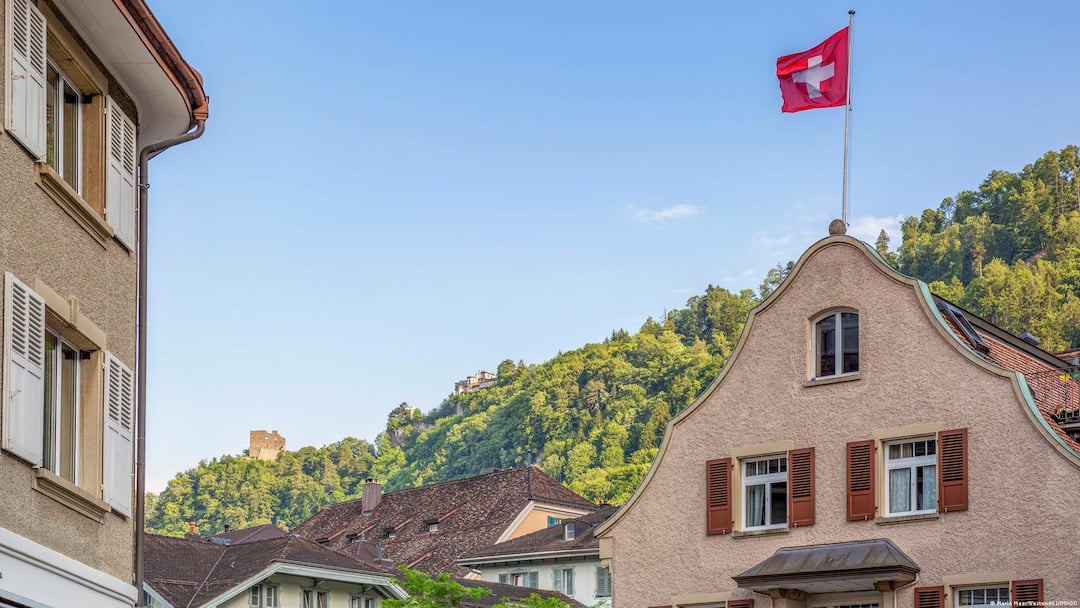 Swiss Voters To Decide On 10 Million Population Cap, Civilian Service Reforms In Key Referendums