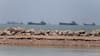 Strait Of Hormuz Standoff: Iran Refuses To Back Down As US Warns Of War