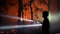Fontainebleau Forest Fire Takes Criminal Turn As France Makes Arson Arrests