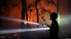 Fontainebleau Forest Fire Takes Criminal Turn As France Makes Arson Arrests