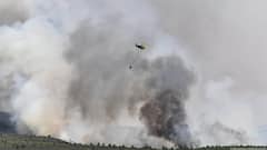 Spain Battles Massive Wildfires As Blaze Near Madrid Spreads Rapidly, Thousands Evacuated