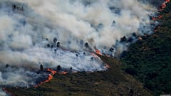 Europe On Fire: Spain, France And Italy Battle Raging Wildfires As Thousands Evacuate