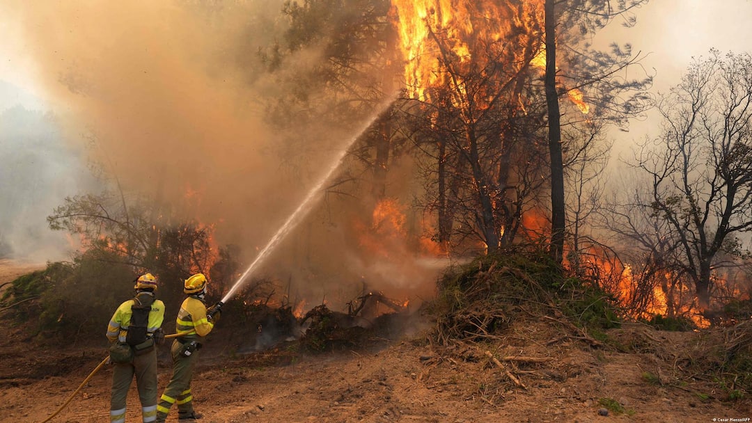 Spain Wildfires Burn Through Economy As Damage Runs Into Billions Of Euros