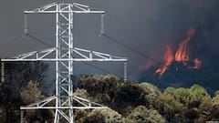 France, Spain Battle Raging Wildfires As Fresh Evacuations Ordered, One Killed