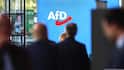 Germany's Far-Right AfD Breaks Poll Record, Hits Historic 28% Nationwide Support