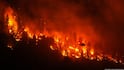 Canada Wildfires: British Columbia Blaze Explodes, Over 20,000 Evacuated