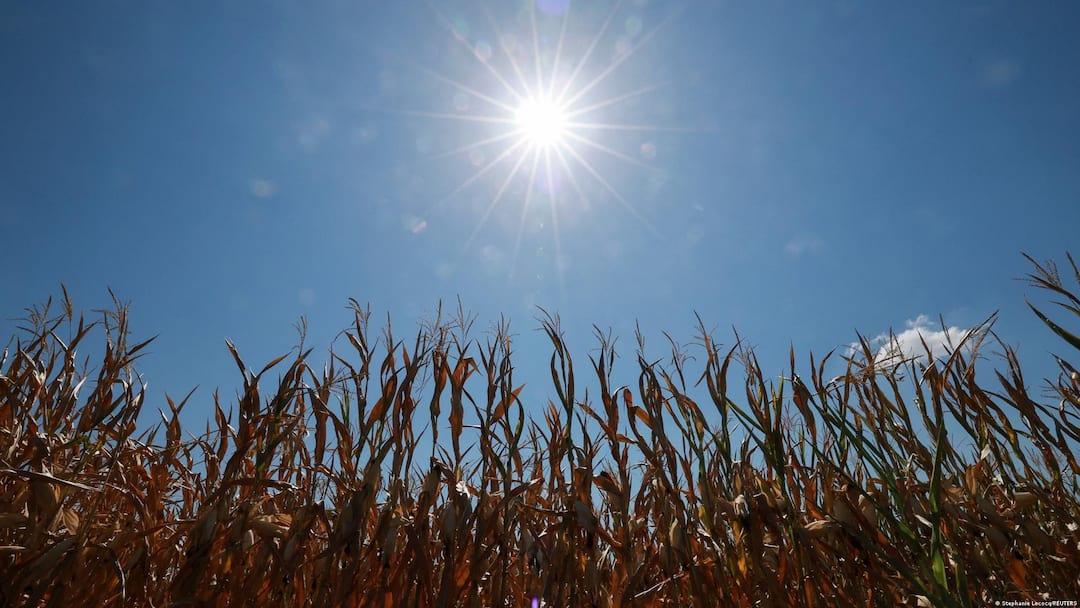 Europe Braces For Another Heatwave As Temperatures Soar Past 35°C