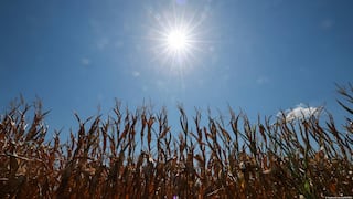 Europe Braces For Another Heatwave As Temperatures Soar Past 35°C