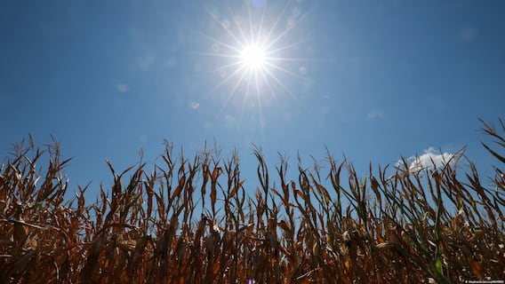 Europe Braces For Another Heatwave As Temperatures Soar Past 35°C