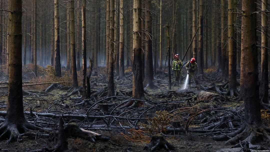 Rain Aids Firefighters Battling Massive High Fens Wildfire In Belgium Rain Aids Firefighters Battling Massive High Fens Wildfire In Belgium Rain Aids Firefighters Battling Massive High Fens Wildfire In Belgium