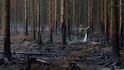 Rain Aids Firefighters Battling Massive High Fens Wildfire In Belgium