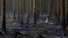 Rain Aids Firefighters Battling Massive High Fens Wildfire In Belgium