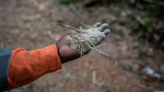 At Least 37 Suspected Illegal Miners Die In Custody In Nigeria; Overcrowding Suspected