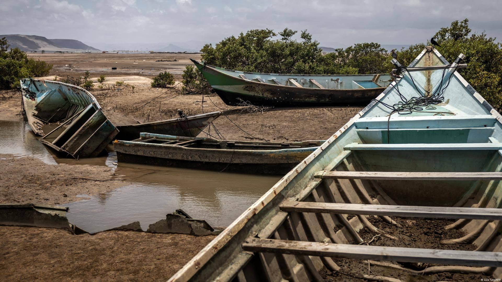 Djibouti Boat Capsize: 139 Migrants Dead, 84 Missing After Vessel Carrying 305 Capsizes