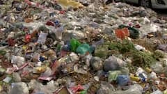 Garbage everywhere as North Delhi MC strike continues
