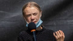 Greta Thunberg tweets again, releases updated toolkit for Farmers Protest