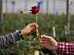 Mumbai: Want To Take Your Beloved On Night Out On V-Day, Here's Good News For You!