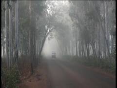 Bengal Winter Photos : মাঘের শেষে শীতের সুপার ইনিংস, আরও নামবে তাপমাত্রা