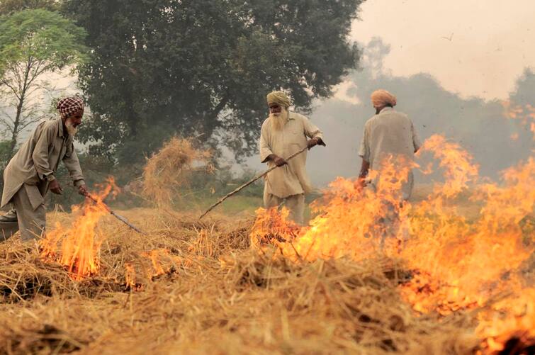 Prakash Javadekar expressed concern over burning stubble, said these things about Punjab-Haryana ਪਰਾਲੀ ਸਾੜਨ ਦੇ ਮਾਮਲਿਆਂ ਨੇ ਫਿਕਰਾਂ ‘ਚ ਪਾਏ ਕੇਂਦਰੀ ਮੰਤਰੀ, ਪੰਜਾਬ-ਹਰਿਆਣਾ ਬਾਰੇ ਕਹੀ ਇਹ ਗੱਲ