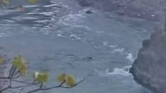 Uttarakhand Avalanche: 60 labourers from Lakhimpur Kheri working on Tapovan Power project missing