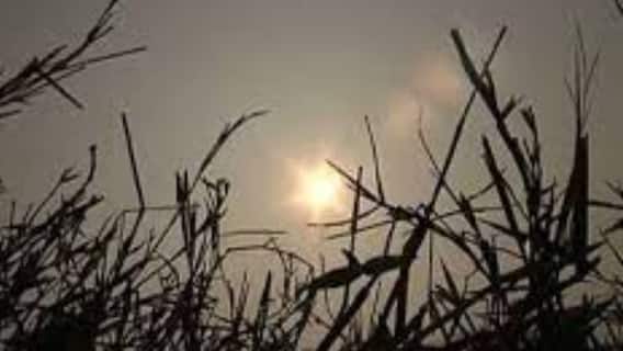 Ananda Sakal II: রাজ্যে ফের জাঁকিয়ে শীত, এক ধাক্কায় পারদ নামল ২ ডিগ্রি ও অন্য খবর