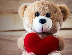 Happy Teddy Day 2021: টেডি ডে - তে প্রিয়জনকে কেমন উপহার দেবেন? সঙ্গে কী বার্তা?