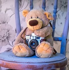 Happy Teddy Day 2021: টেডি ডে - তে প্রিয়জনকে কেমন উপহার দেবেন? সঙ্গে কী বার্তা?