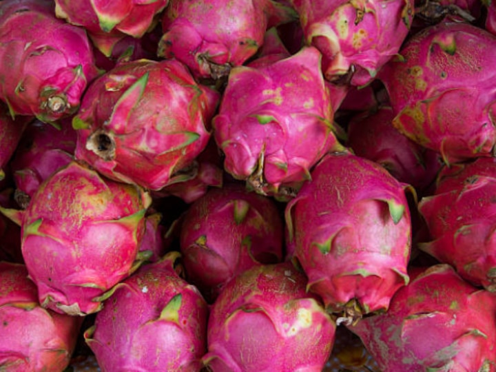 Now A Dragon Fruit Festival In Uttar Pradesh