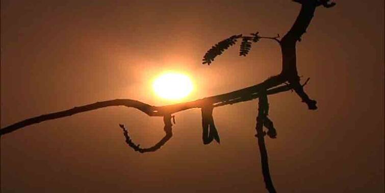 Temperature to increase in coming days for Kolkata, likely to have cloudy forecast Kolkata Weather Update: বসন্ত কি এসে গেল? শহরে ঊর্ধ্বমুখী তাপমাত্রার পারদ