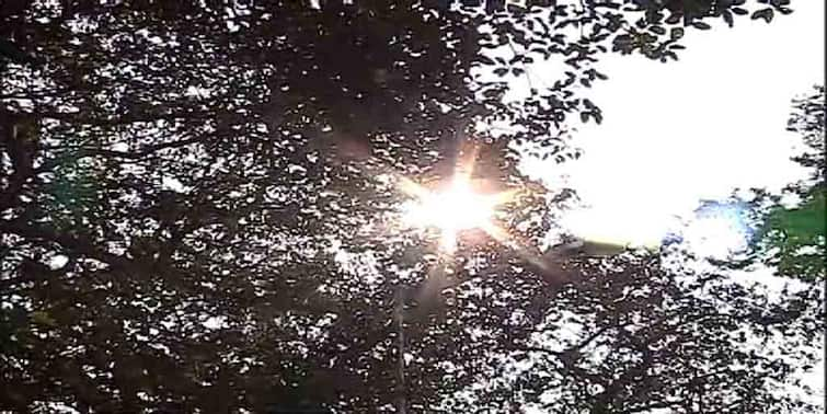 West Bengal Weather Report: Temperature increased upto 3 degree Weather Report: আরও ৩ ডিগ্রি উঠল পারদ, শীতের বিদায় আসন্ন