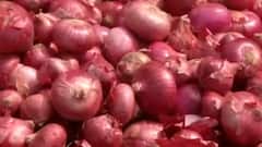Onion prices soar in Varanasi, Kanpur | Full Report