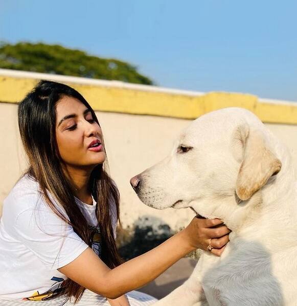 বোনকে সঙ্গে নিয়ে গোয়ায় ছুটি কাটাতে গেলেন পার্নো। তার আগে কলকাতা বিমানবন্দরে অভিনেত্রীকে দেখা গেল ফুরফুরে মেজাজে।