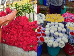 IN PICS: Flower Markets Come Alive On The Eve Of Valentine's Day; Stunning Visuals From Bengaluru