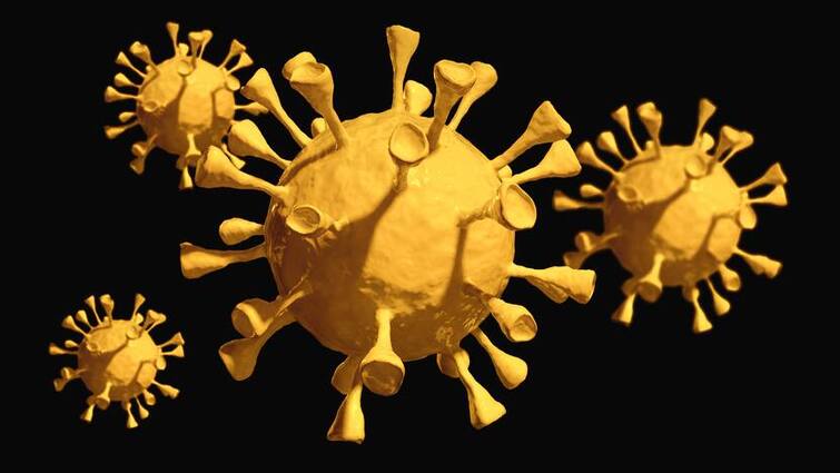 Coronavirus (COVID-19) Deaths : India Corona Death : Increase In Daily Death In World Coronavirus Update: দেশে কমলেও বিশ্বে করোনায় বাড়ল দৈনিক মৃত্যু