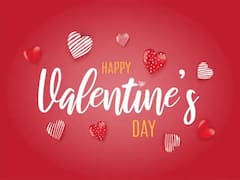 Valentine Day 2021: ইনস্টাগ্রামে প্রিয় মহিলাদের ছবির প্রিন্ট বের করে স্বামীকে উপহার মার্কিন মহিলার