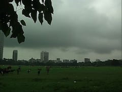 Saraswati Puja 2021 Photos: সরস্বতী পুজোয় বৃষ্টির ভ্রুকুটি! কী বলছে পূর্বাভাস?