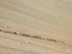 IN PICS | Disengagement Of Troops In Ladakh's Pangong Tso Area In Full Swing; China Dismantles Bunkers From Fiction Areas