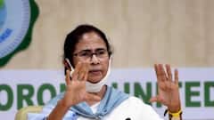 Swaraswati Puja 2021: সরস্বতী পুজো উপলক্ষ্যে গান লিখলেন Mamata Banerjee