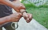 Animal Husbandry Scam: 1 More Arrested By UP STF In Rs 9 Crore Fraud