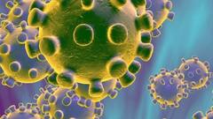 New strain of Coronavirus enters India; from South Africa, Brazil returnees