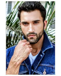 Who is Gurfateh Singh Pirzada? All You Need To Know About Newest Member Of Karan Johar's DCA Squad