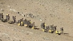 Visuals of India's huge win against China along LAC